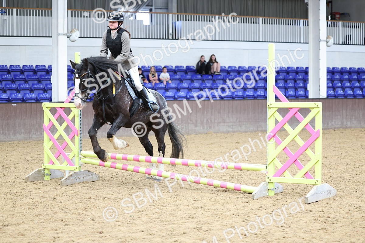 SBM_007373 - Class 2 - 50cm showjumping