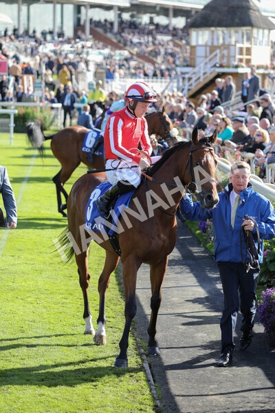 yr08102022r2-13 - Race 2 2.05pm The Coral Rockingham Stakes
