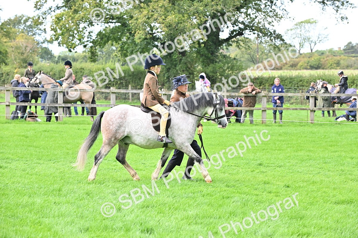 SBM_40166 - S20 - Lead Rein Mountain & Moorland Pony