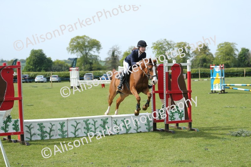 20260426-1728 - Class 14 - Novice 60cm