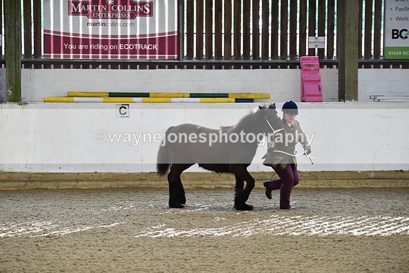 WJ5_3517 - Class 1 Youngstock