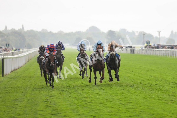 080924-Race 4-Zain Blue-4470 - Race 4 3.25pm PJ Staffing Group Handicap