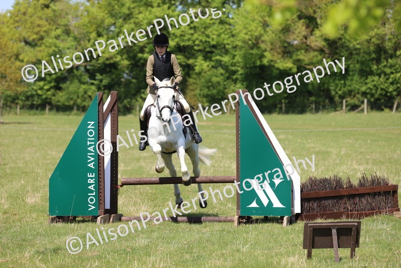 20250427-2608 - Class 20 - Working Hunter Ponies