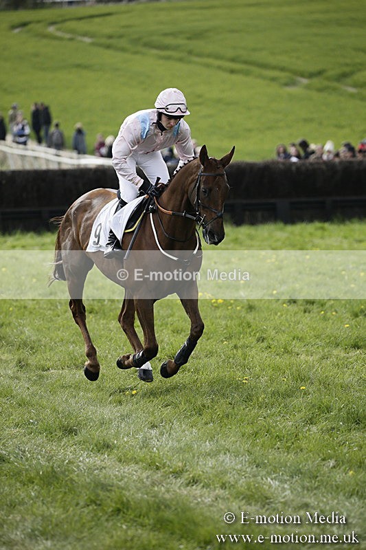 PtP 170417 442 - Old Berks Point-to-Point Lockinge 17/04/17
