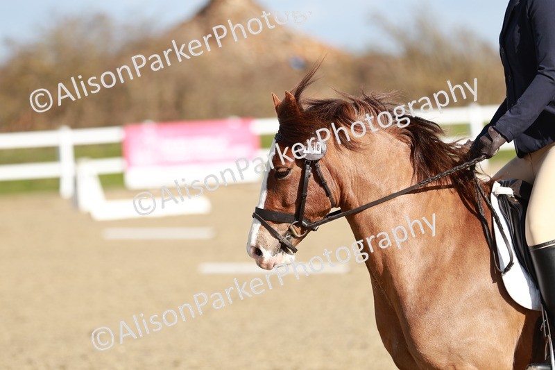 20260314-4294 - DR4 - Prelim 2