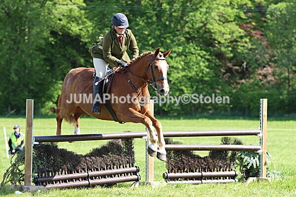 IMG_4896 - Working Hunter
