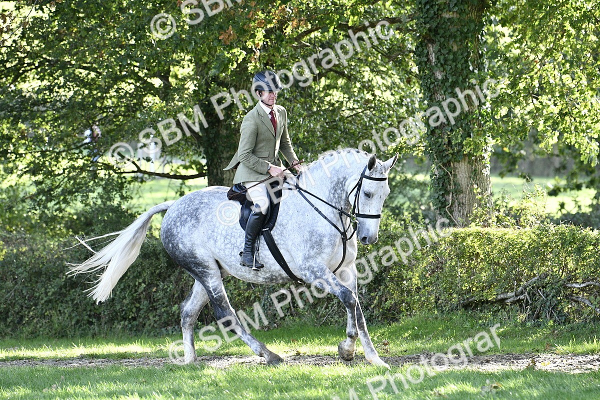SBM_52220 - S35 - Working Hunter & Working Show Horse