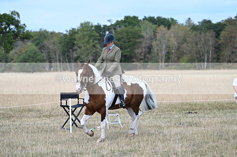 WJ7_7169 - Class 14 Ridden Coloured