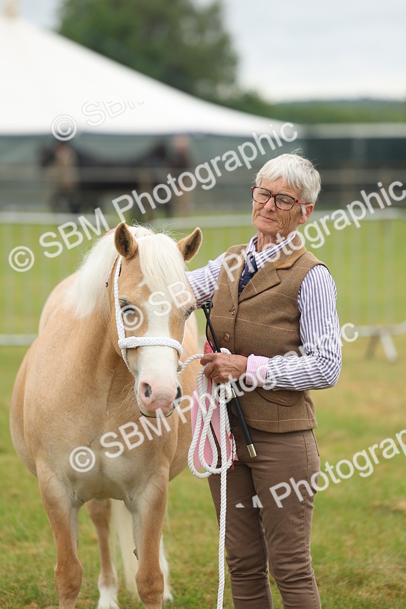 SBM_01645 - Class 50-57 - M&M Welsh Pony In Hand
