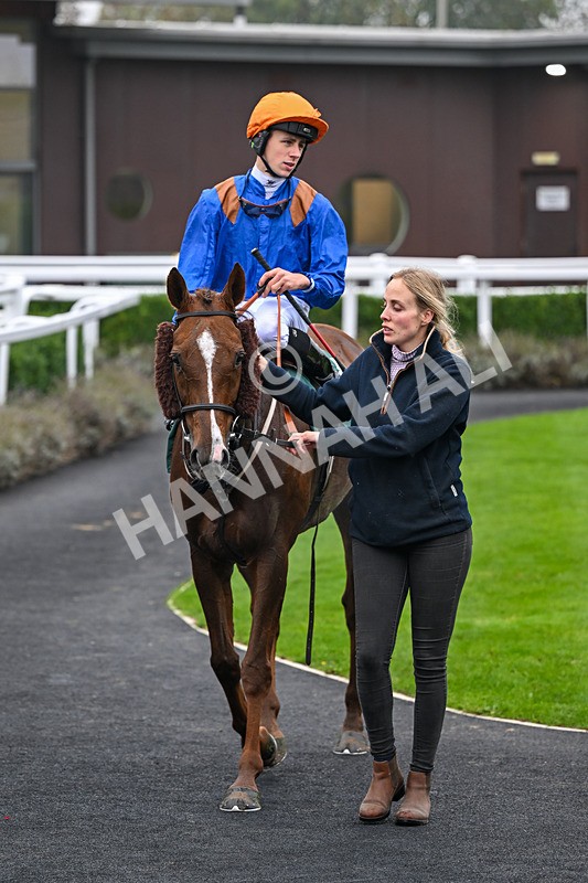 181025-Race 1-Bollin Neil-0201 - Race 1