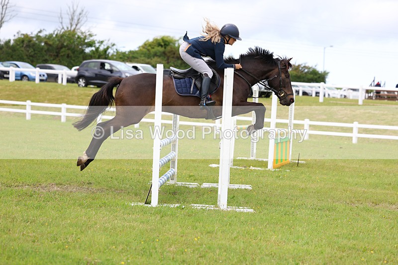 3E7A7751 - Class 13: Senior British Novice/90cm open