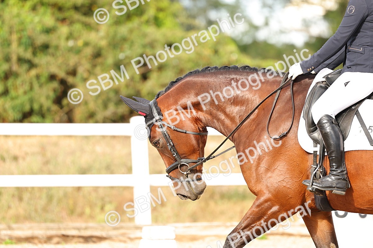 SBM_007596