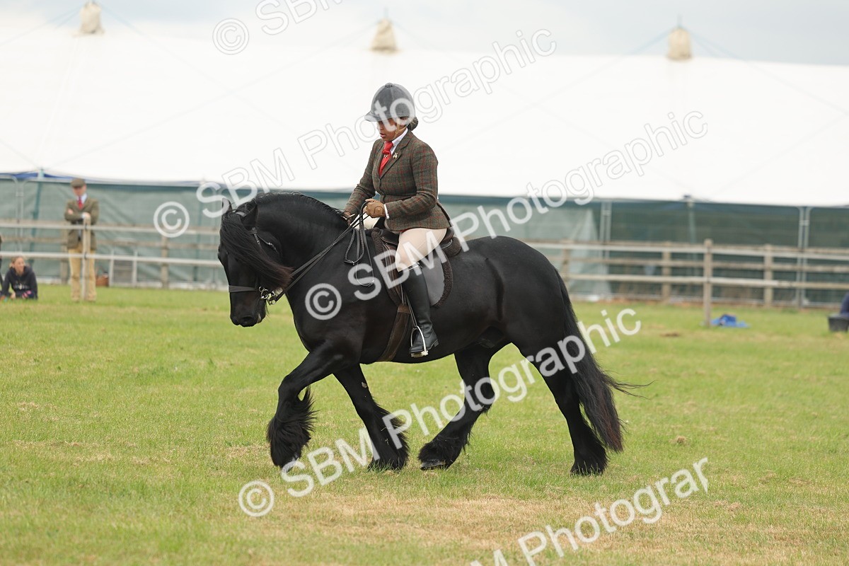 SBM_08967 - Class 78-80 - Ridden M&M Non Welsh Ponies