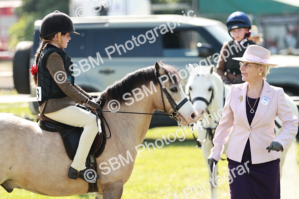 SBM_12691 - Class 106-107 - BSPS LIHS Working Sports Pony