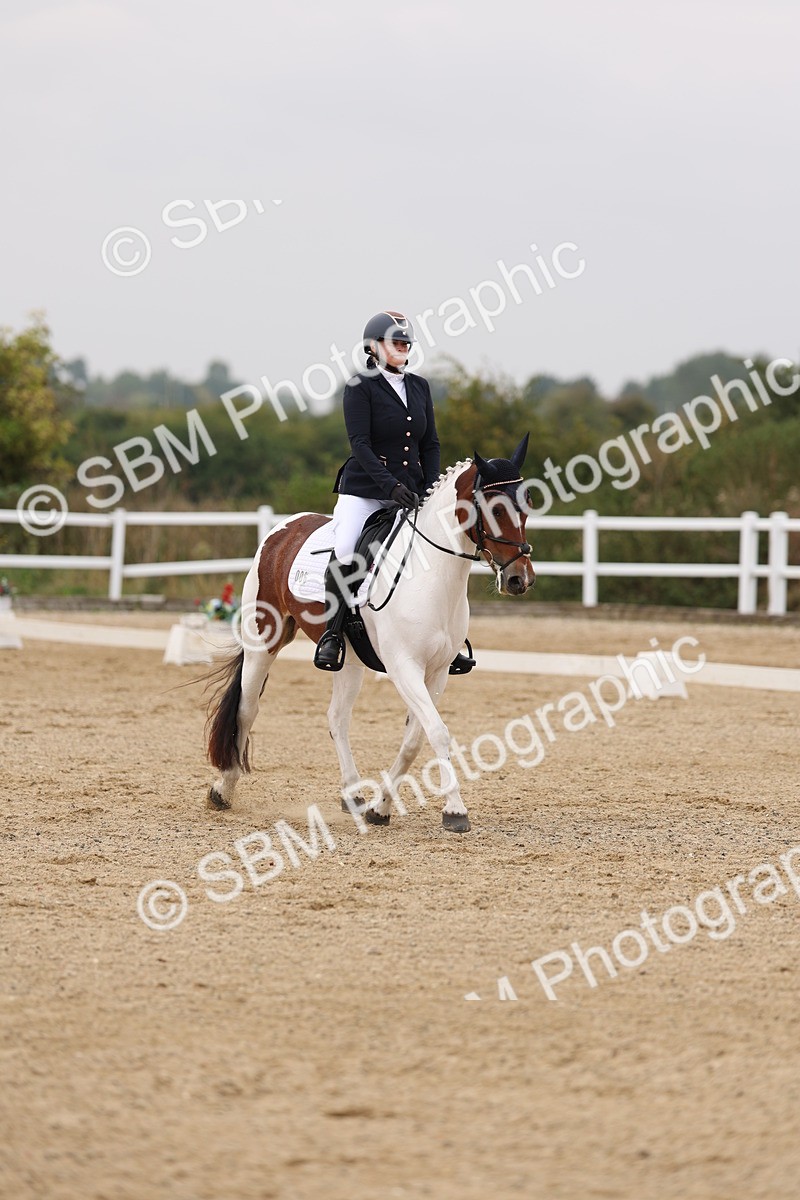 SBM_01473 - Class 9 - Novice 27 Champs