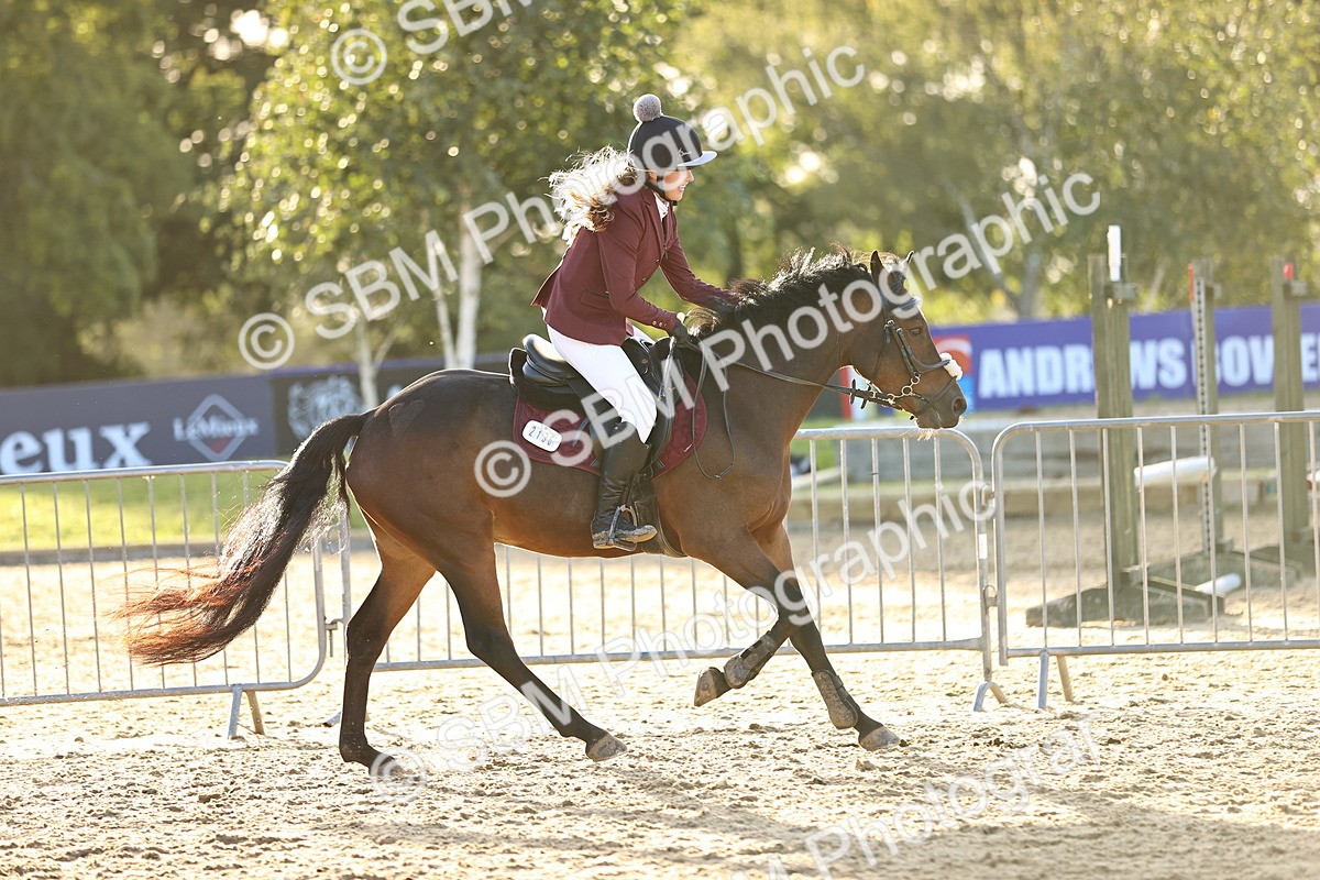 SBM_54285 - Supreme Championship 70cm 75cm