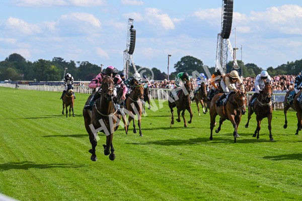 280625-Race 7-Titian-1288 - Race 7 5.25pm Al Basti Equiworld Dubai Amateur Jockeys' Handicap
