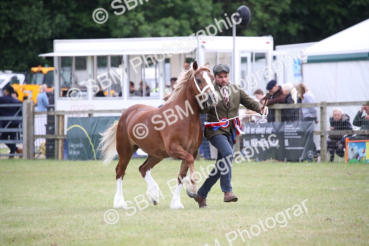 SBM_09826 - Ch 50 - Price Family Supreme In Hand