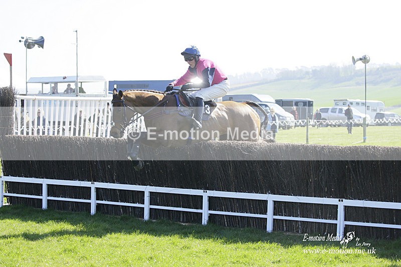 PtP 190322 235 - Wilton Hunt PtP Milborne St Andrew 19/03/22