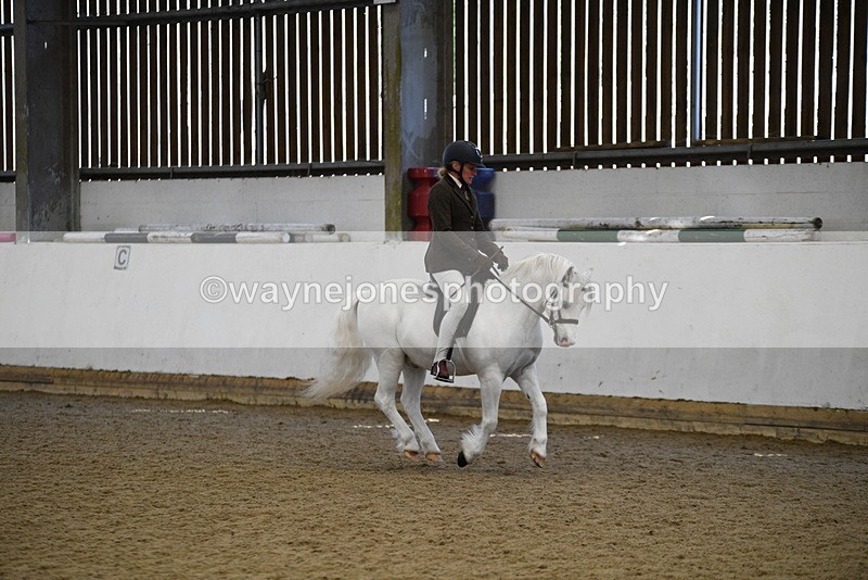 WJ5_6011 - Class 9 Ridden Veteran