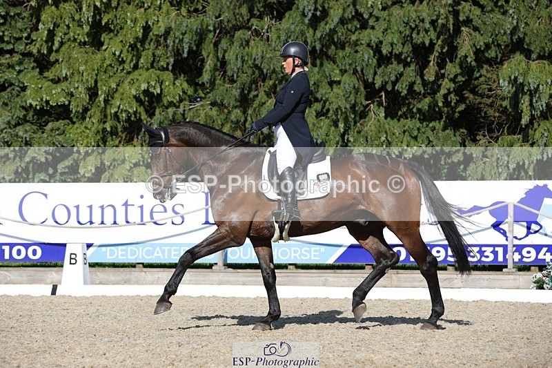 230526-172449-07971 - 178-RIDIRE_DORCHA-Lucy_Stimson-WEDTrotUp+DR