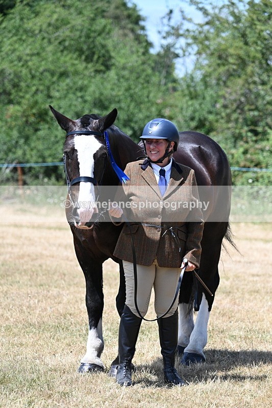 WJ7_2453 - Class 5a Most Handsome Gelding in hand (above 14.2hh)