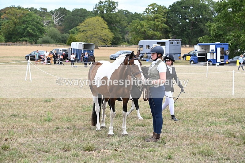 WJ6_5747 - Class 18 In-hand Coloured