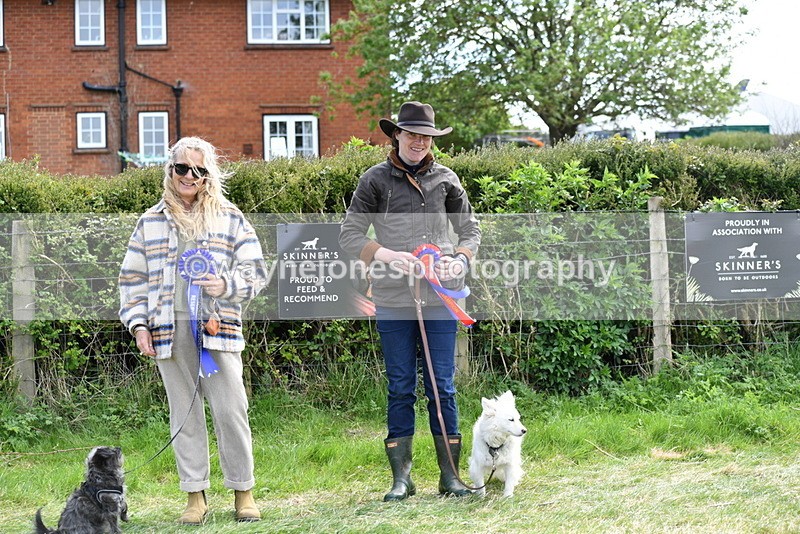 WJ5_0852 - Best in Show Championship