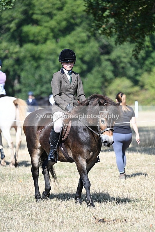 WJ7_3400 - Class 9 Mountain & Moorland Ridden