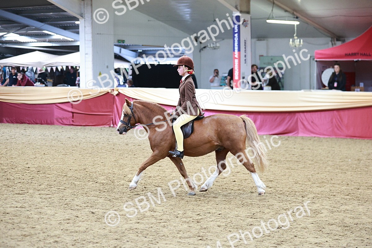 SBM_03579 - Class 6A Area Ridden Pre-Vet