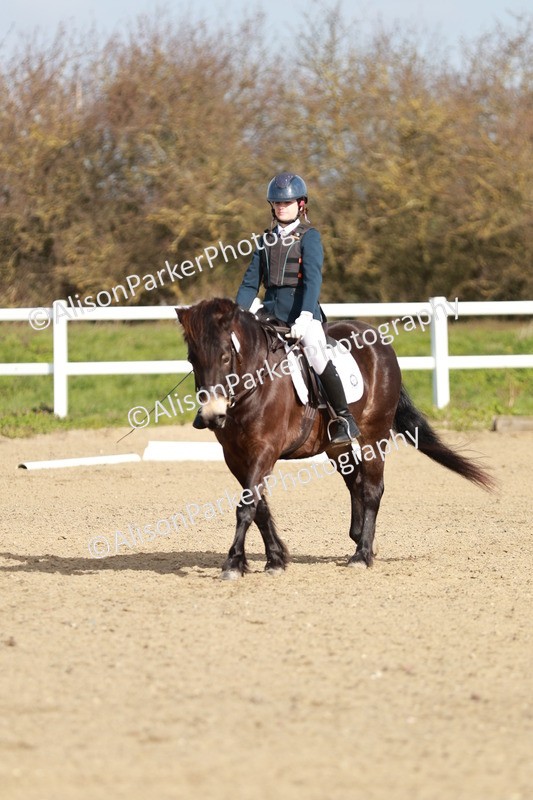 20260314-1080 - DR2 - Intro 3