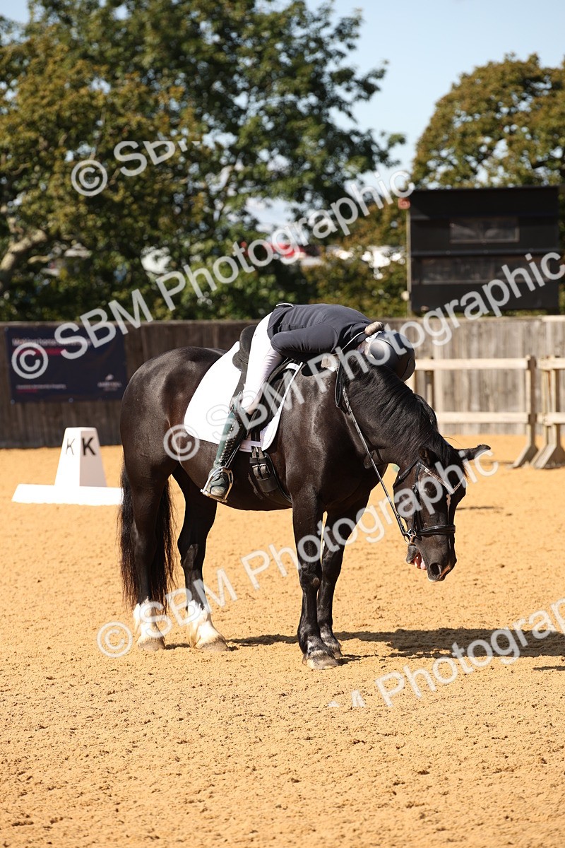 SBM_24225 - D5 - Small Tour Championship - Intro C