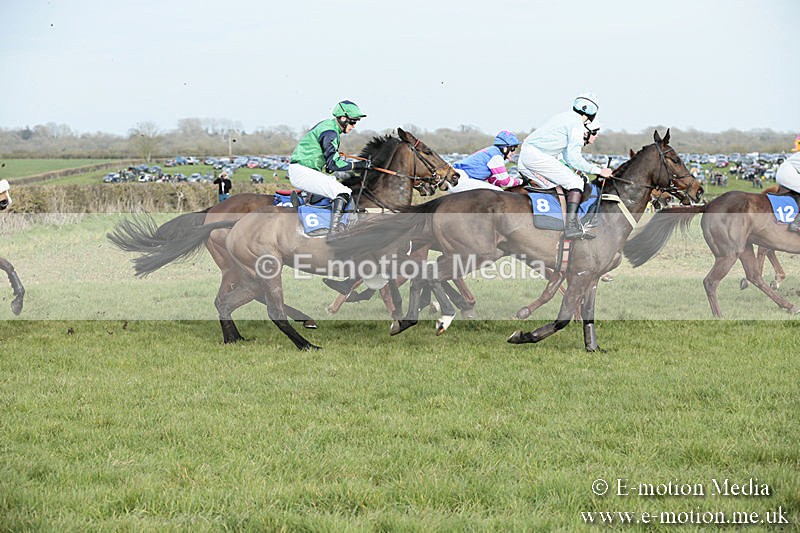 PtP 230319 442 - VWH Hunt Siddington Point-to-Point Racing 23/03/19