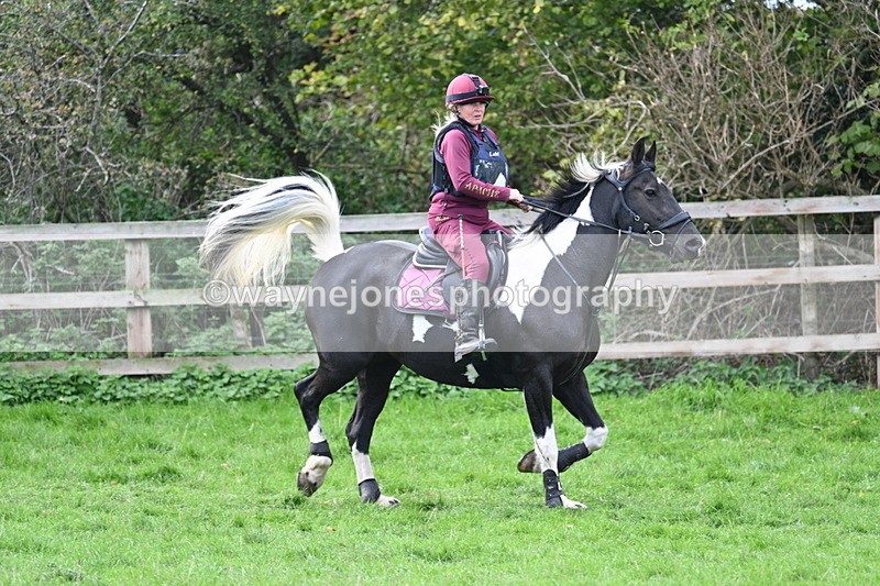 WJ7_8713 - Time 12:12 to 12:37