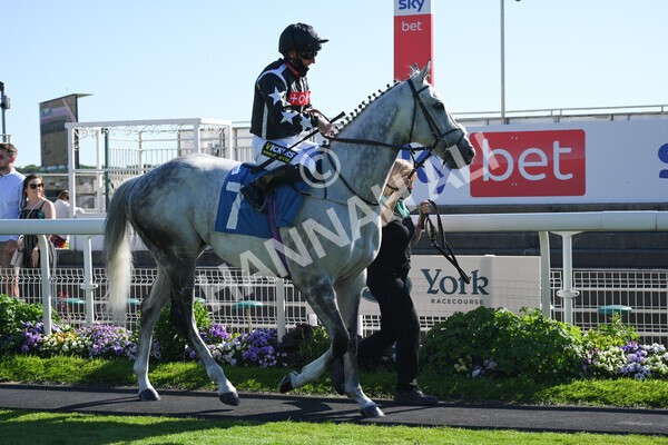 yr12062021r7-14 - Race 7 5.25pm Sky Bet Stakes