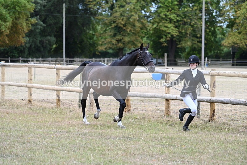 WJ7_8986 - Class 4a Prettiest Mare 14.2hh and over