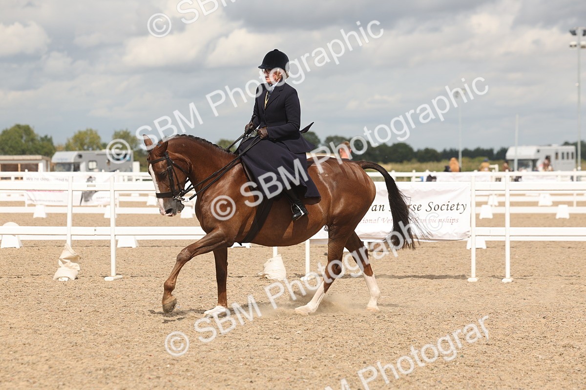 SBM_06364 - Class 22 - SSA - Equitation