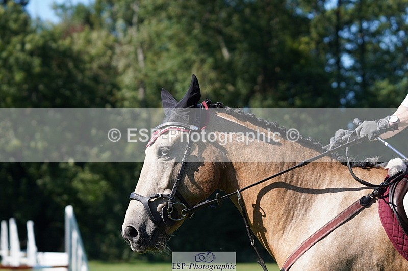 240811A-165250-06456 - 468-