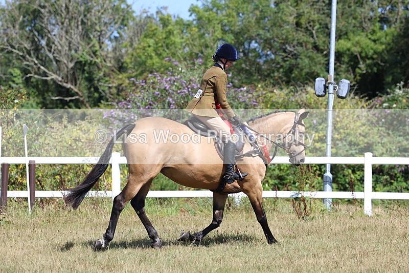3E7A6505 - Working Hunter Championship