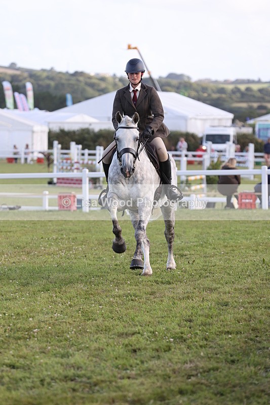 JPP_3536 - Class 22: Working Hunter 90cm