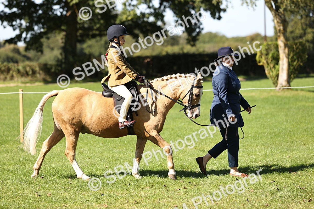 SBM_19236 - S3 - TSR Ridden Pony Showing