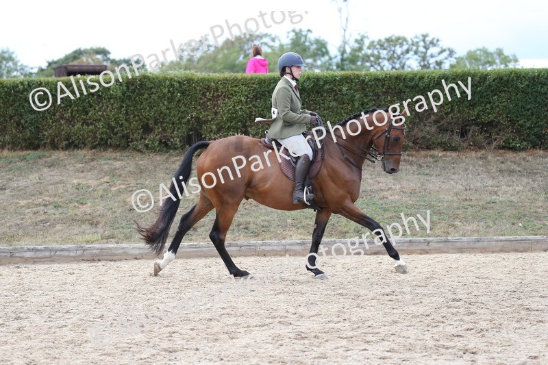 20260831-2608 - Class 15 - Ridden Retraining of Racehorses