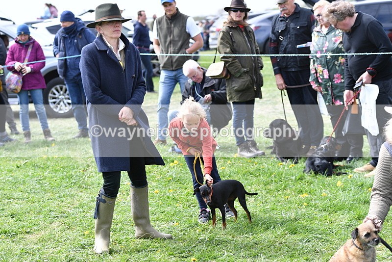 WJ5_0602 - Class 7 Best Terrier