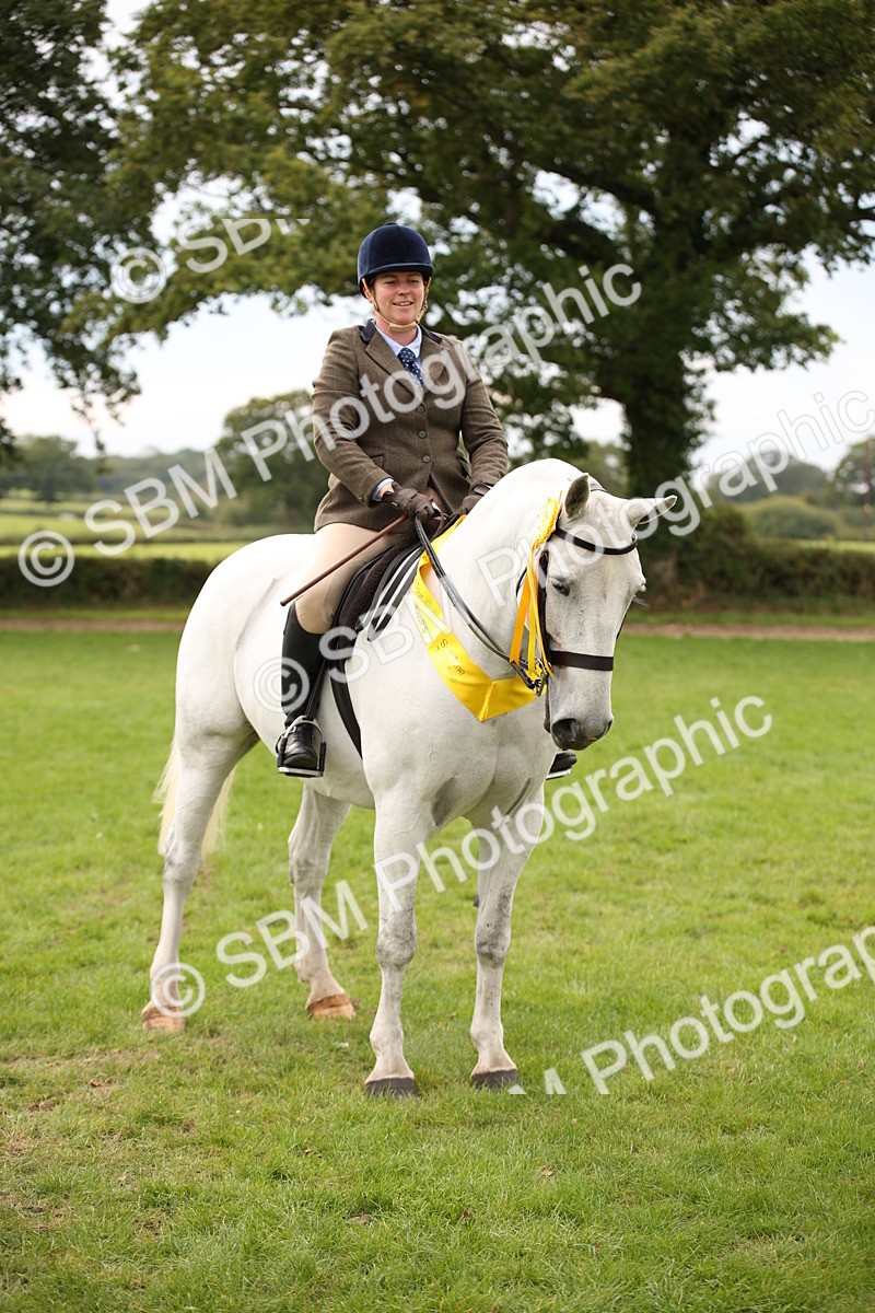 SBM_72422 - S67 - Show Cob Ridden