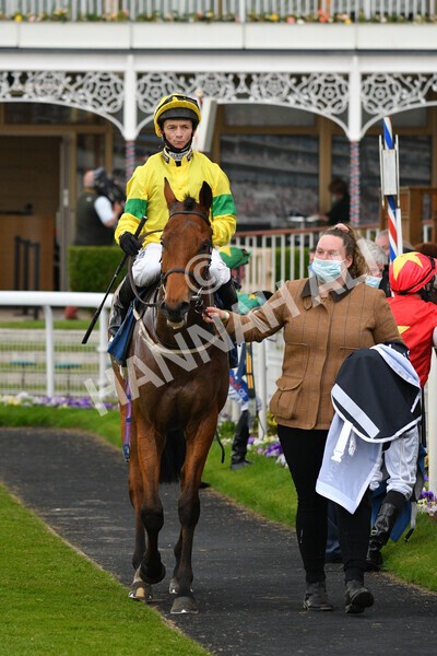 yr14052021r5-41 - Race 5 3.40pm The Jigsaw Sports Branding Handicap