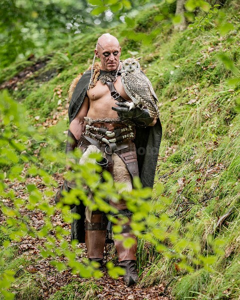 Norse s-130 - The Vikings