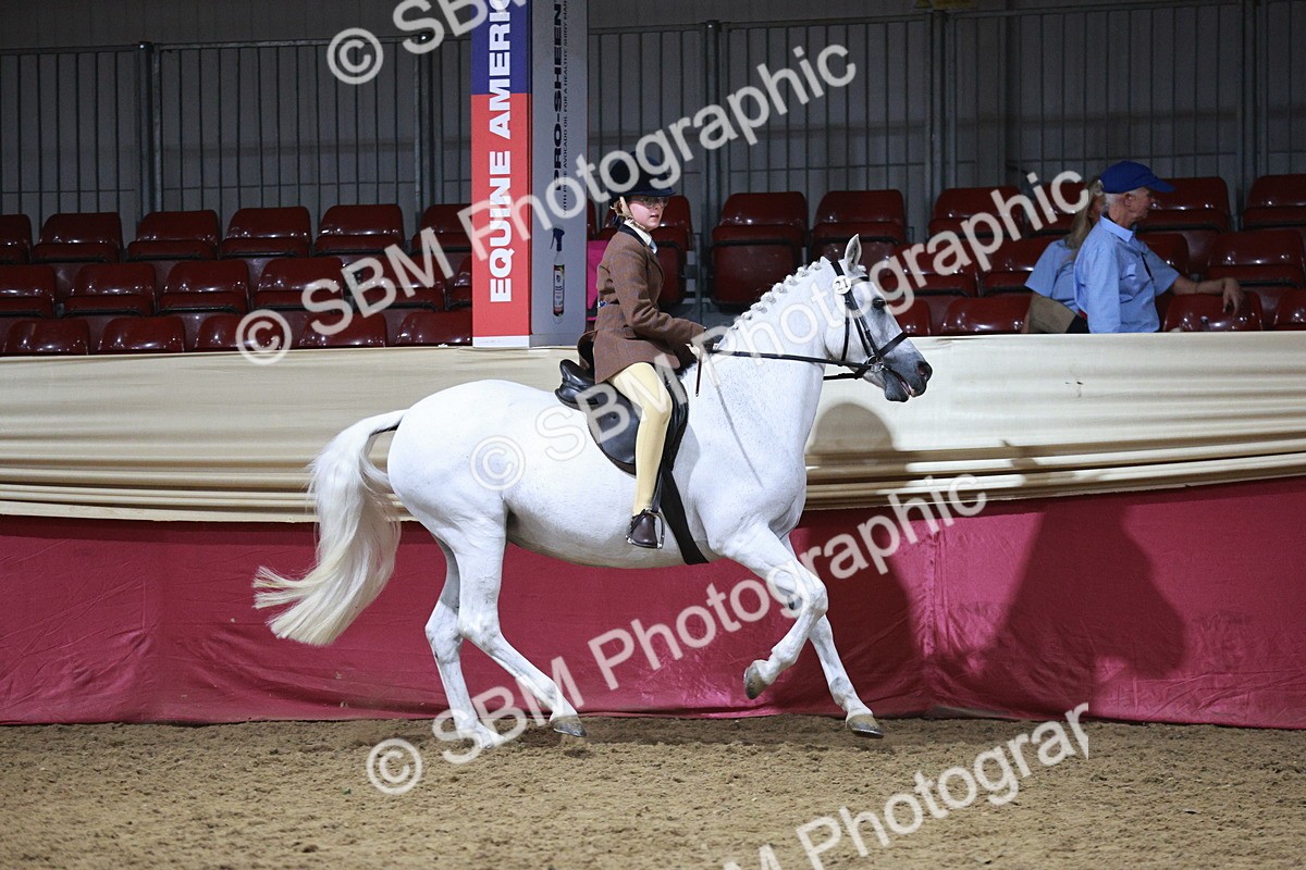 SBM_08050 - Class 11R - Regional Ridden Veteran