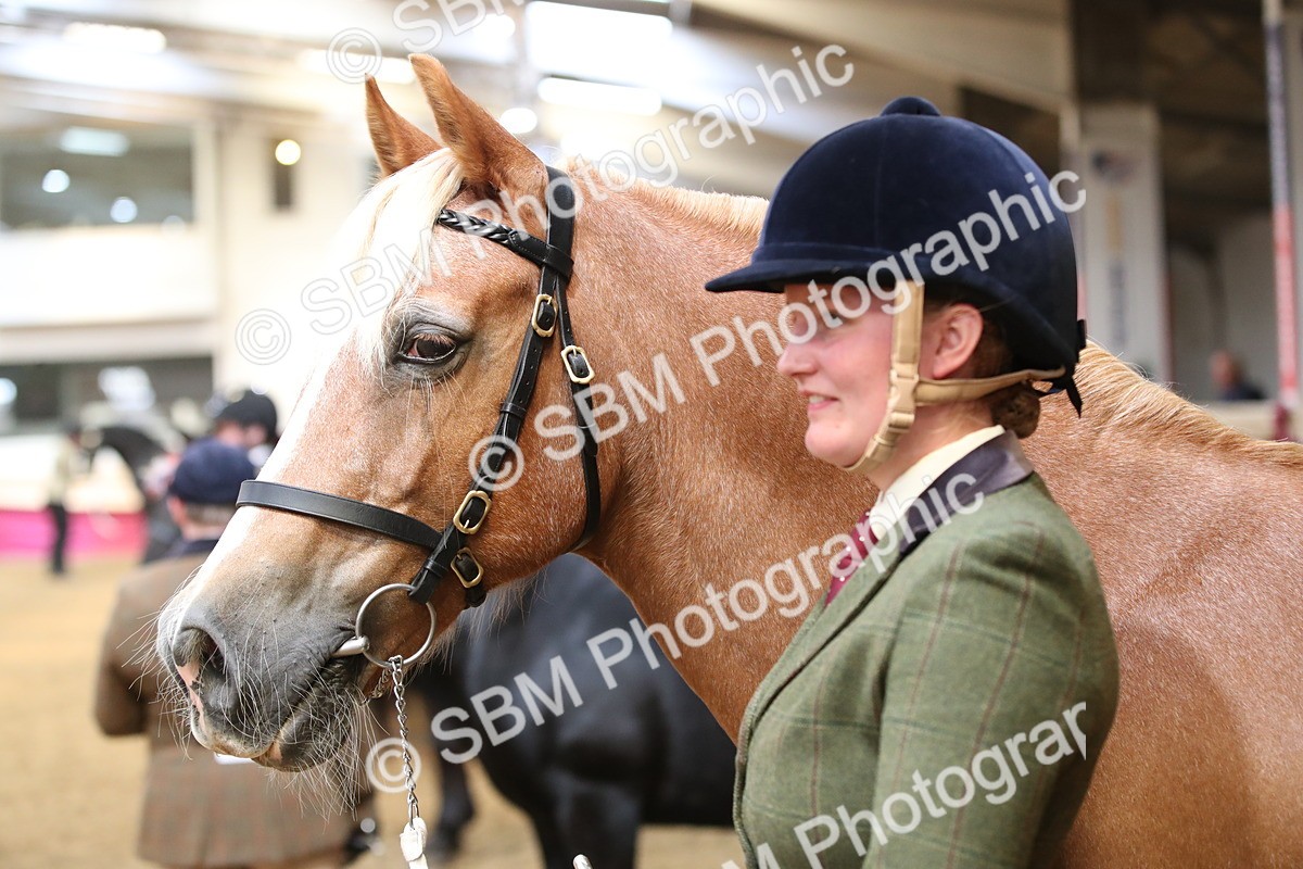 SBM_05369 - Class 8R - Regional IH Veteran