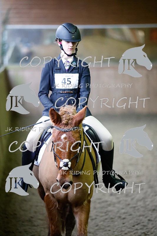 _R6A3227 - Class 4 Novice 2020