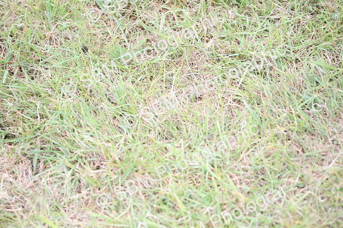 SBM_05948 - Class 12-15 - HOYS Private Driving